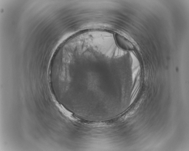 X0000070401037200607072239