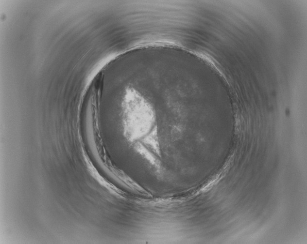 X0000070401038200607072239