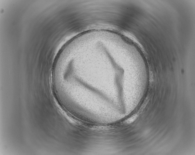 X0000070401040200607072239