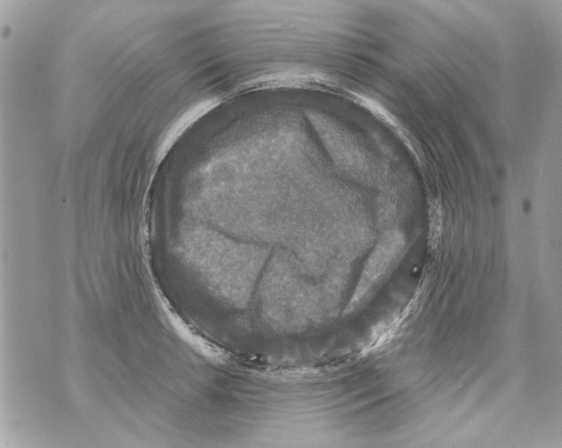 X0000070401042200607072239