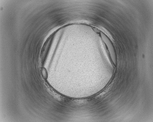 X0000070401044200607072239