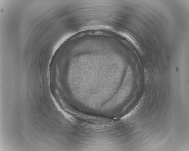 X0000070401046200607072239