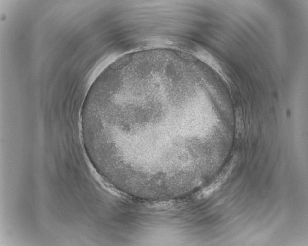 X0000070401047200607072239