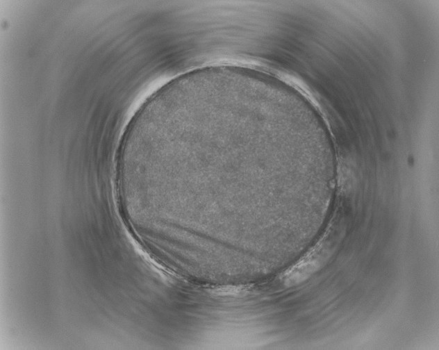 X0000070401048200607072239