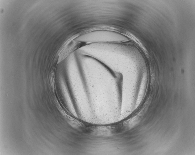 X0000070401049200607072239