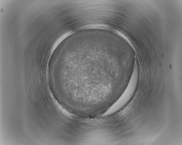 X0000070401050200607072239