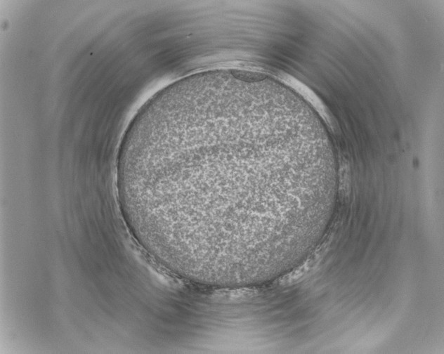 X0000070401051200607072239