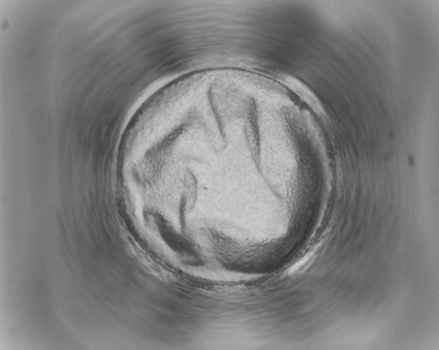 X0000070401052200607072239