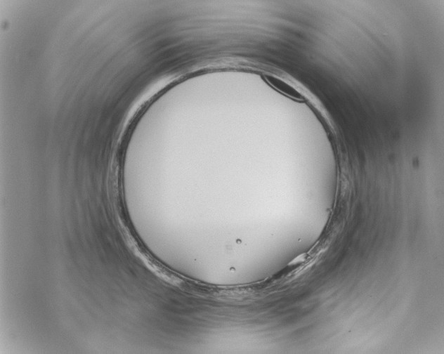 X0000070401053200607072239