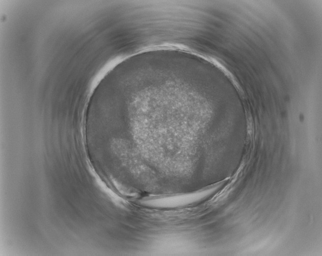 X0000070401054200607072239