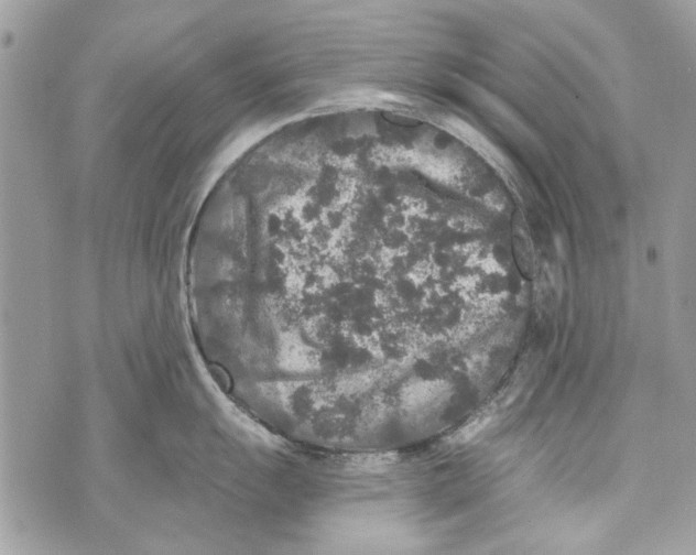 X0000070401055200607072239