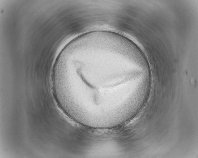 X0000070401056200607072239