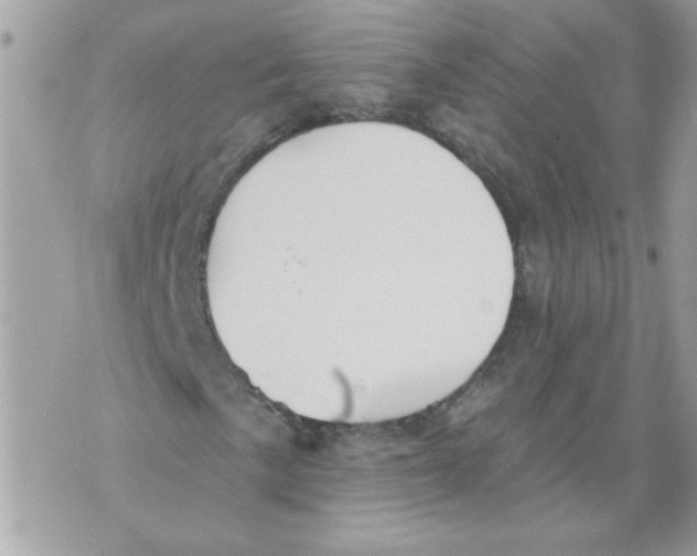 X0000070401057200607072238