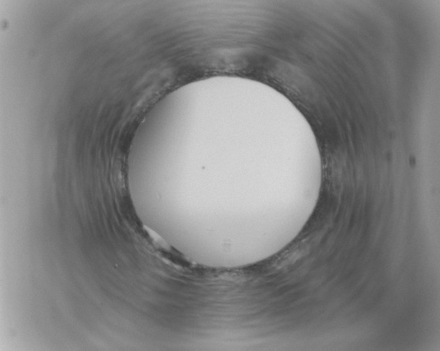 X0000070401058200607072238