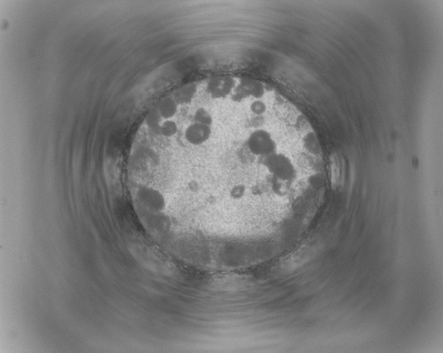 X0000070401059200607072238