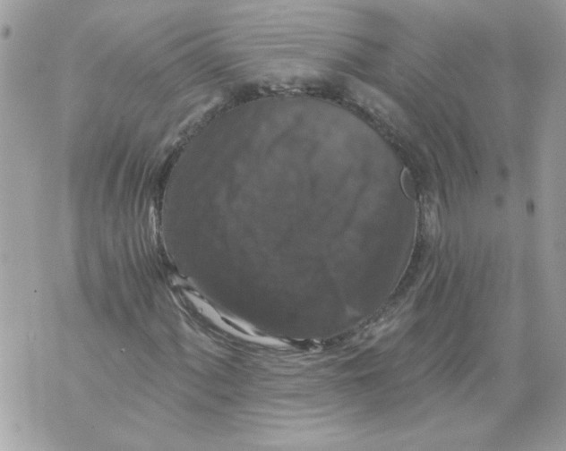 X0000070401060200607072238