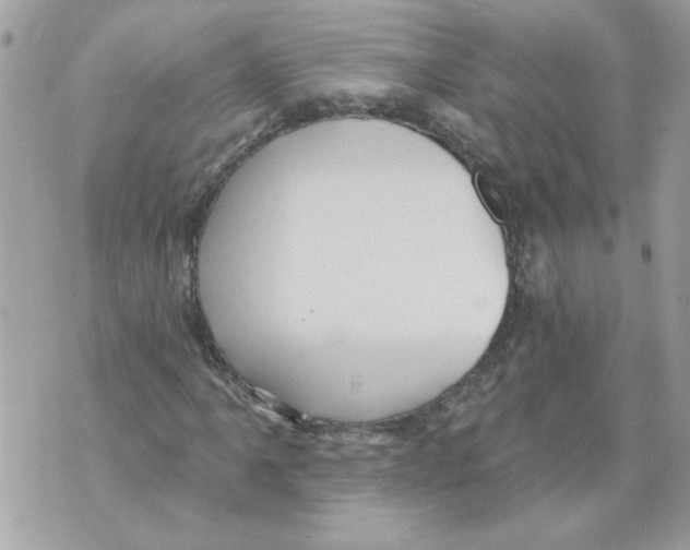 X0000070401061200607072238