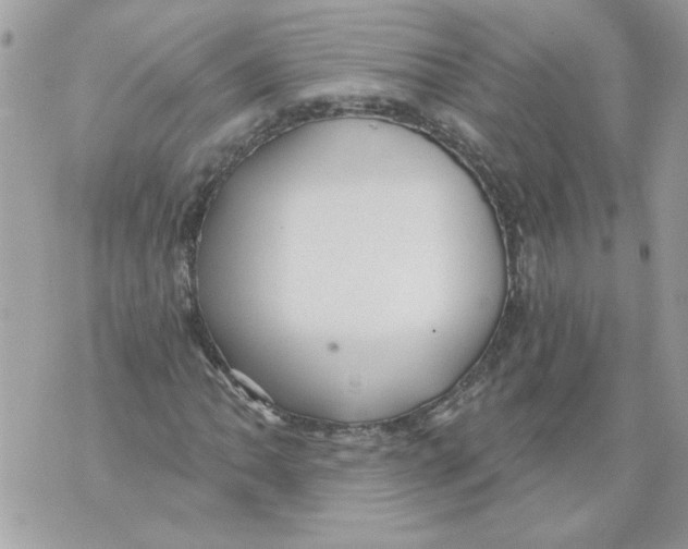 X0000070401062200607072238