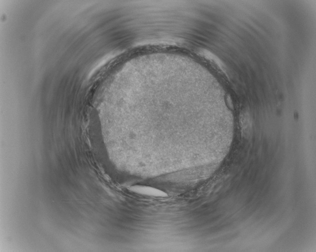 X0000070401064200607072238