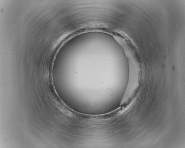 X0000070401065200607072238