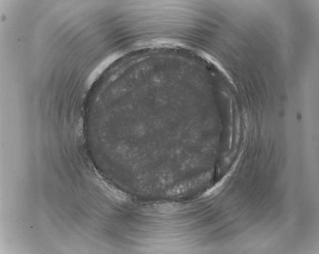 X0000070401066200607072238