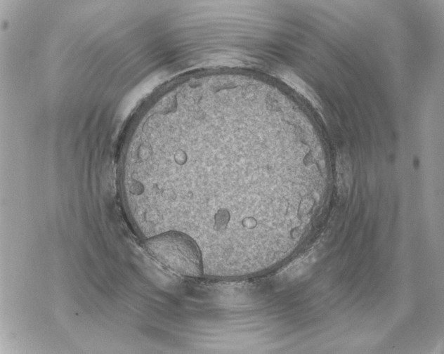 X0000070401067200607072238