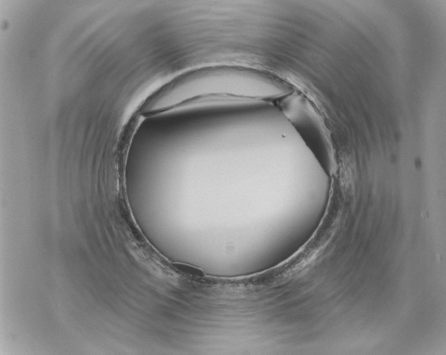 X0000070401069200607072238