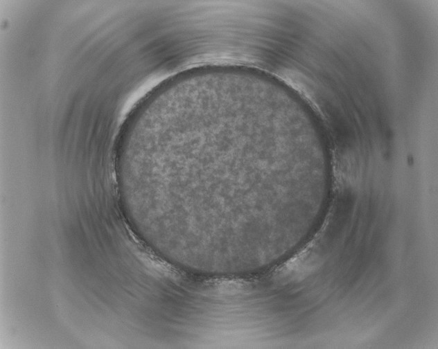 X0000070401070200607072238