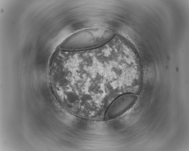 X0000070401071200607072238