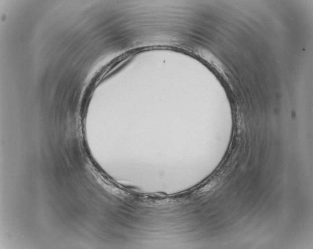 X0000070401072200607072238