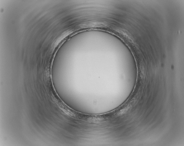 X0000070401073200607072238