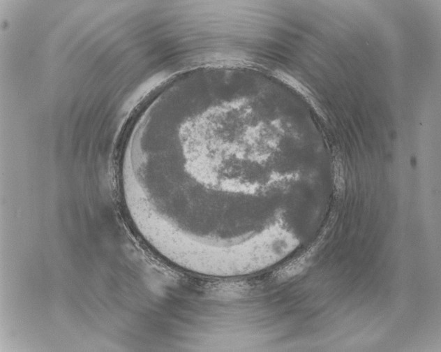 X0000070401074200607072238