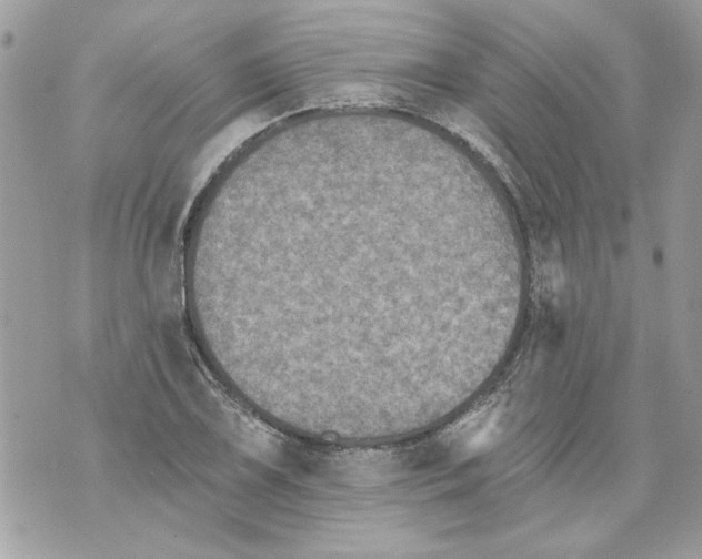 X0000070401075200607072238