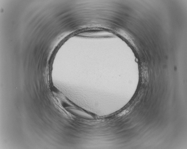 X0000070401076200607072238