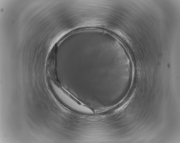 X0000070401077200607072238