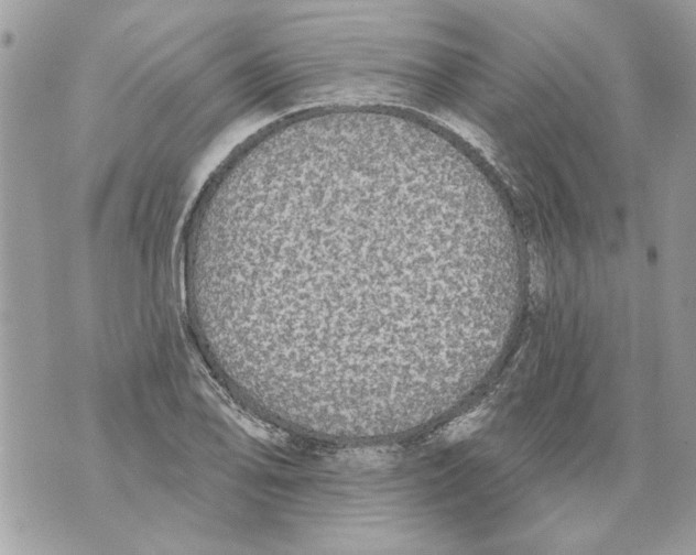 X0000070401078200607072238