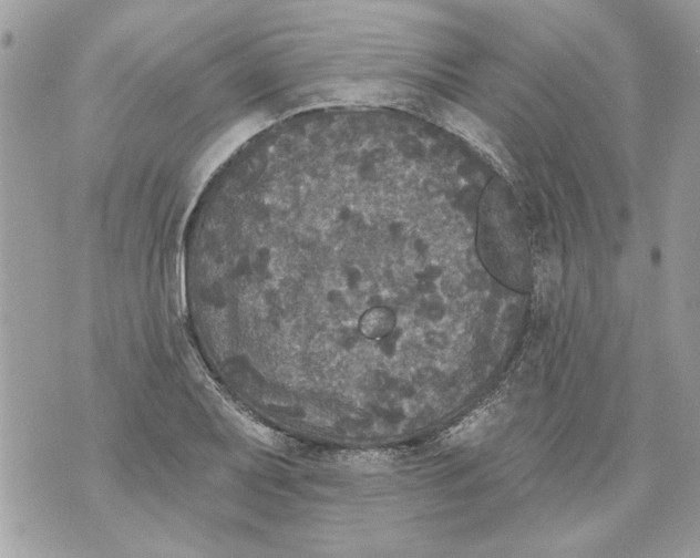 X0000070401079200607072238