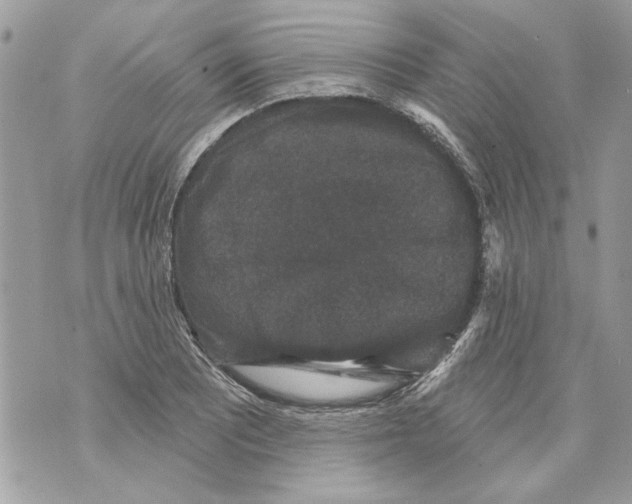 X0000070401081200607072238