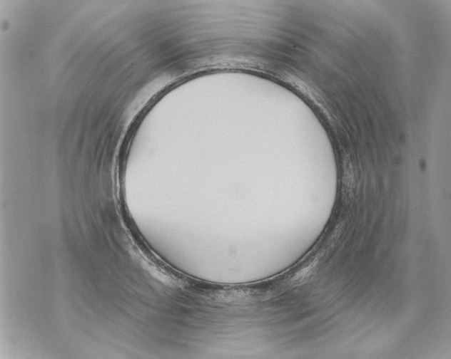 X0000070401082200607072238