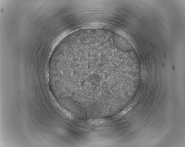 X0000070401083200607072238