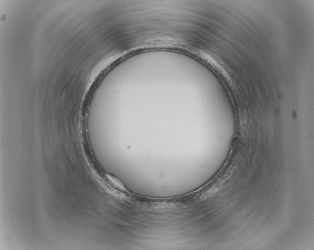 X0000070401085200607072238