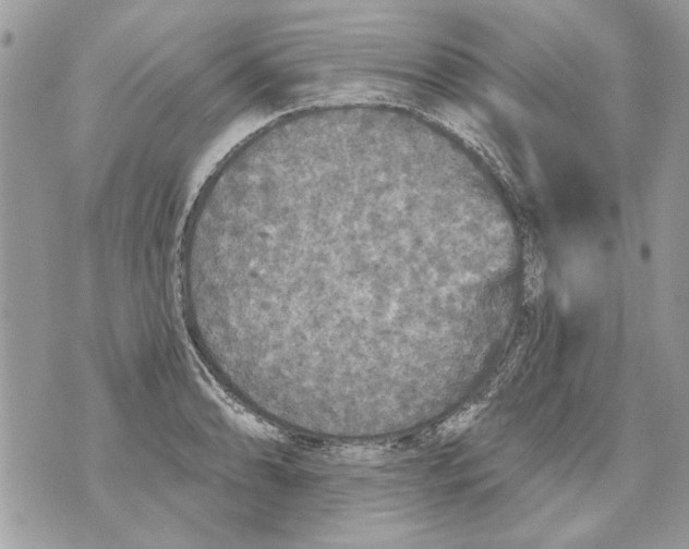 X0000070401086200607072238