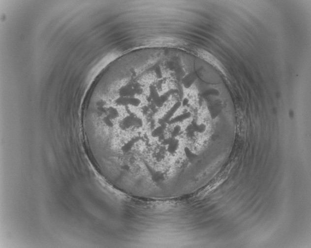 X0000070401087200607072238