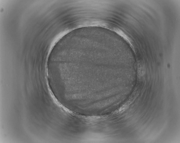 X0000070401088200607072238