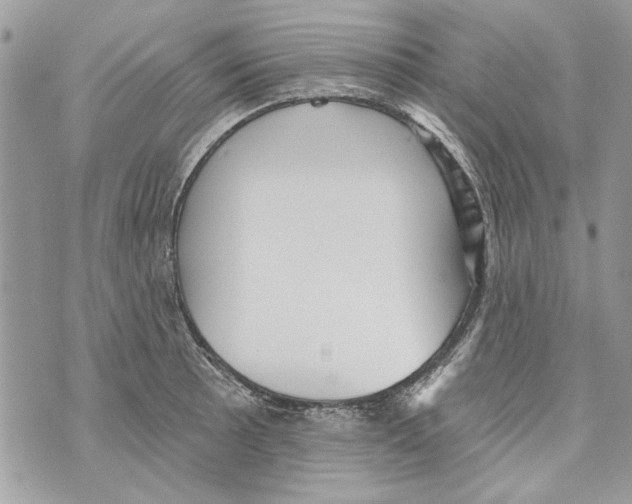 X0000070401089200607072238