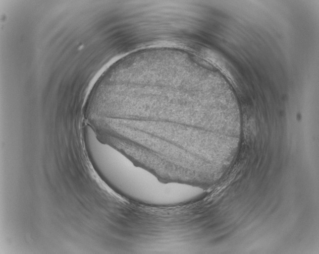 X0000070401092200607072238