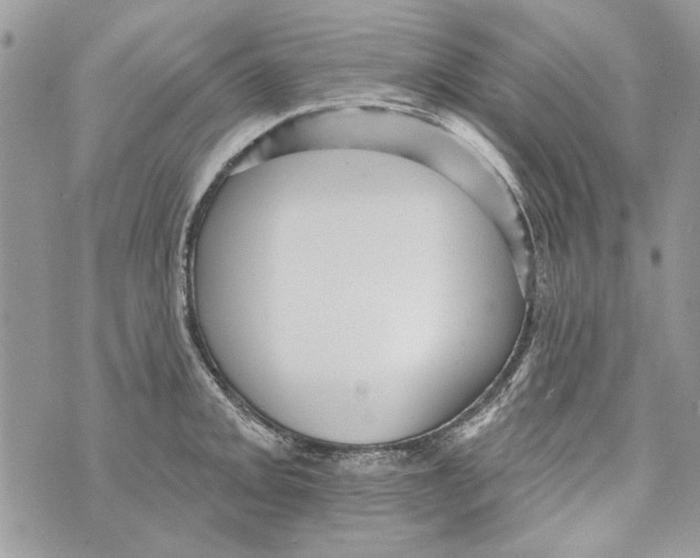 X0000070401093200607072238