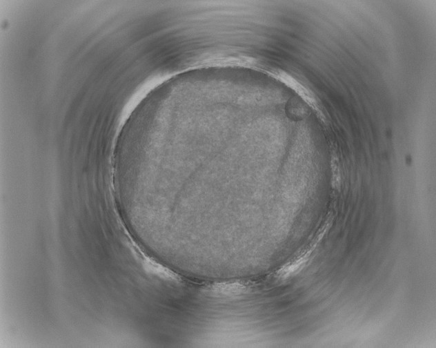 X0000070401094200607072238