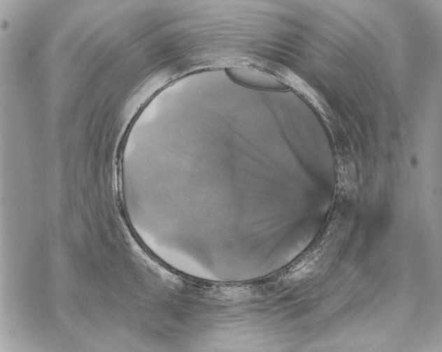 X0000070401095200607072238