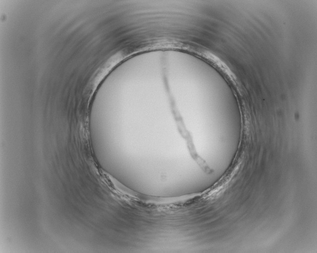 X0000070401097200607072238